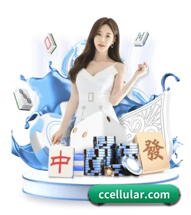 实时比分与赛程查询